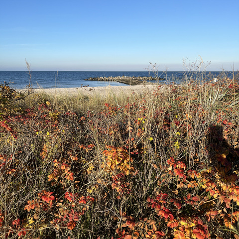 unberührte Natur in Herbstfarben